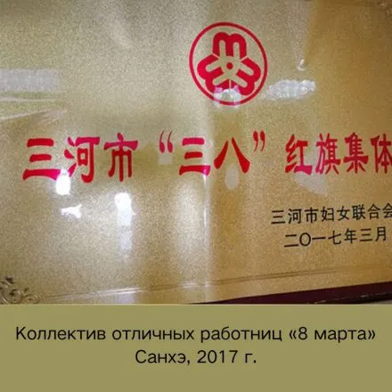 Certificate 28